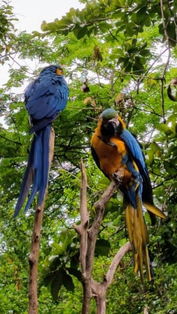 Guayaquil Historical Park